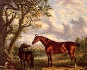 unknow artist Classical hunting fox, Equestrian and Beautiful Horses, 224. oil painting reproduction